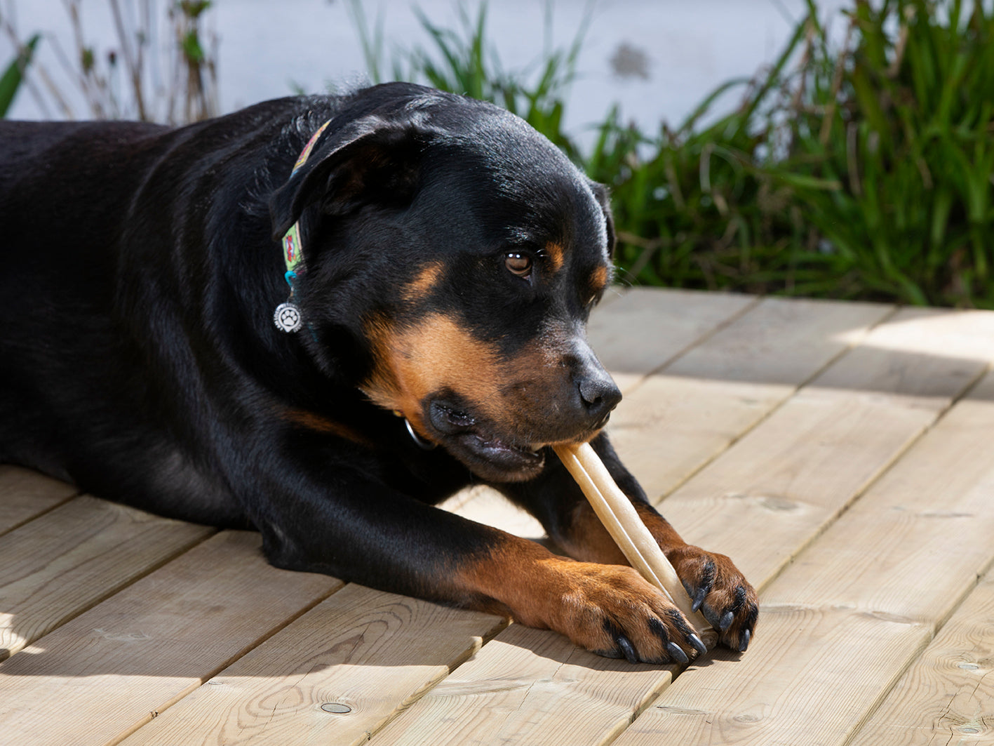 Dogman Tuggrulle Pressad Grov Brun 25cm