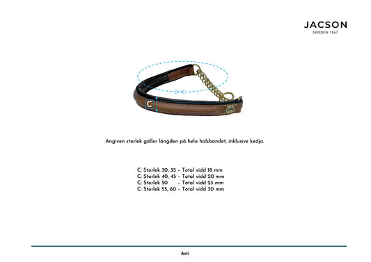 Jacson Asti Hundhalsband