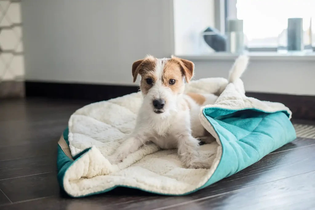 BOWL & BONE DOG SLEEPING BAG DREAMY MINT