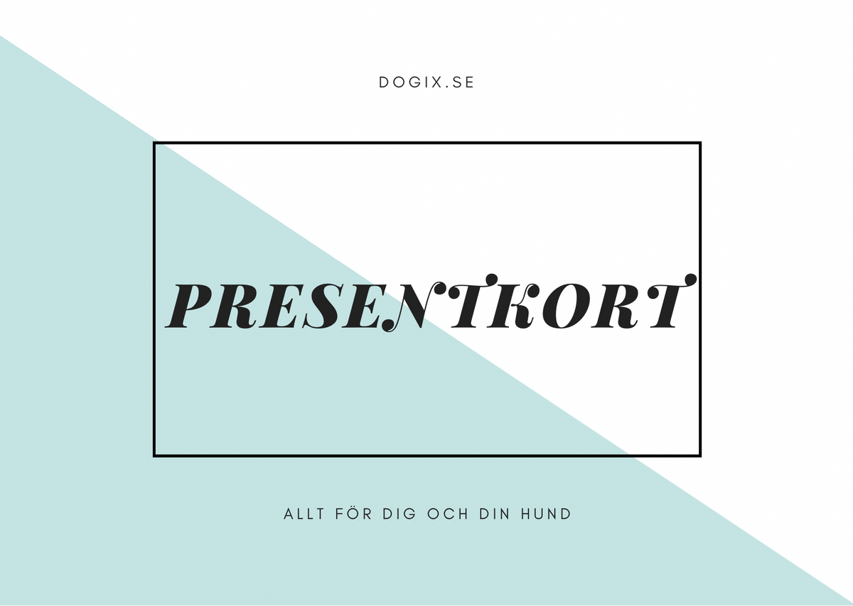 Presentkort