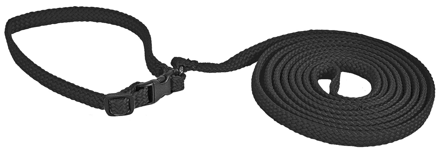 Alac Halsband+Koppel