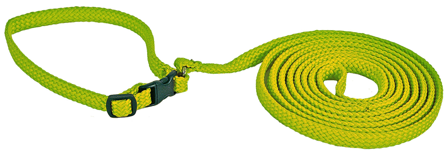 Alac Halsband+Koppel