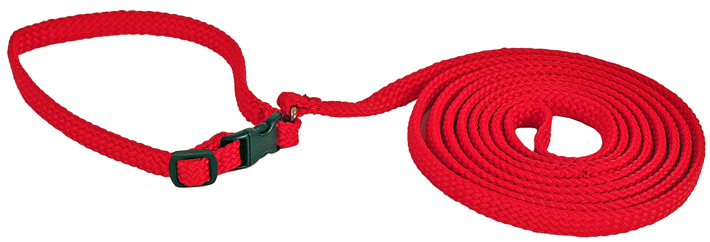 Alac Halsband+Koppel