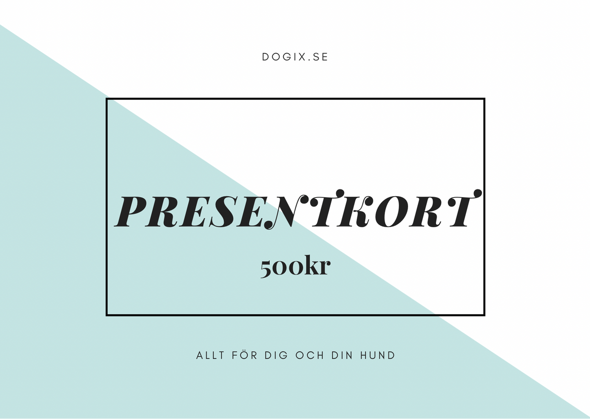 Presentkort