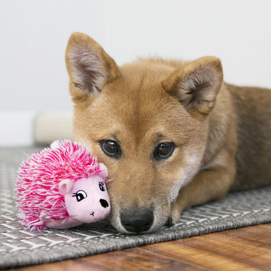 KONG Hundleksak Comfort HedgeHug Puppy