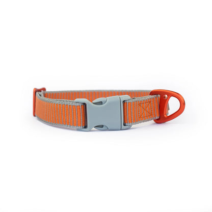 Sealine Ställbart Hundhalsband