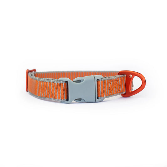 Sealine Ställbart Hundhalsband