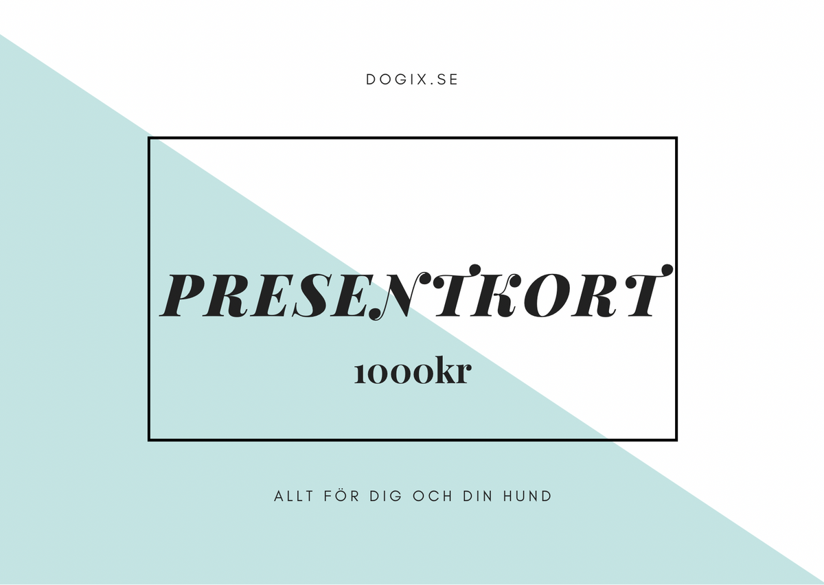 Presentkort