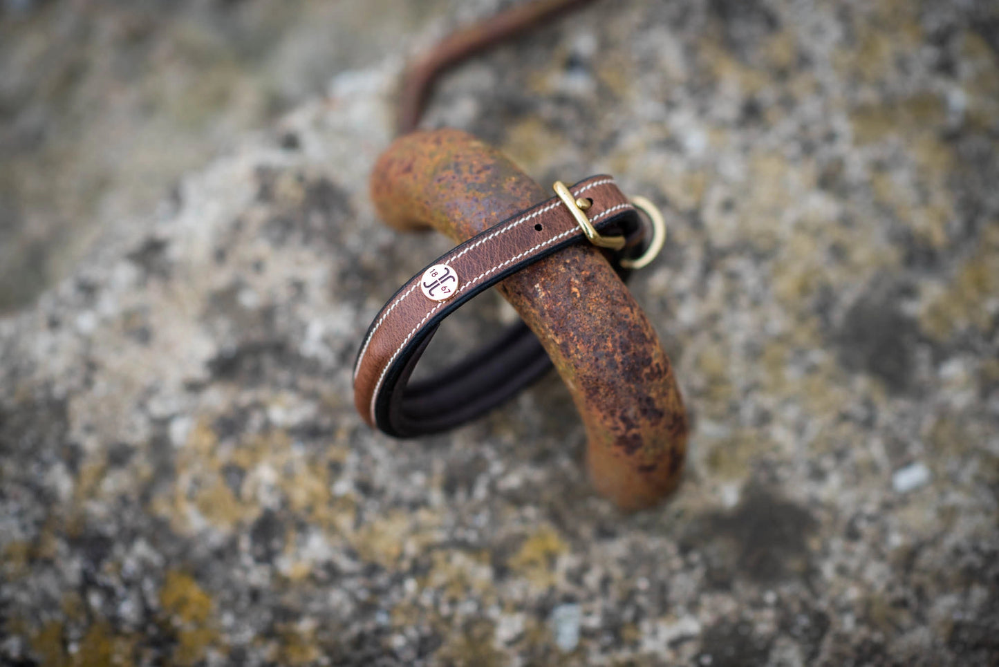 Jacson Arezzo Hundhalsband