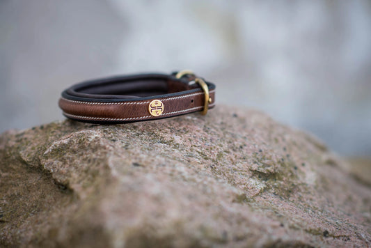 Jacson Arezzo Hundhalsband