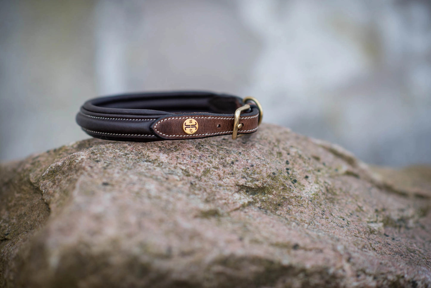 Jacson London Hundhalsband