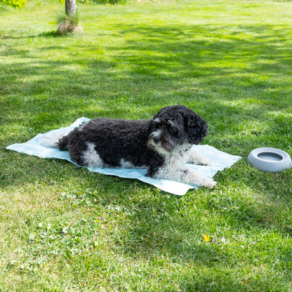 Dogman Kyldyna Turkos