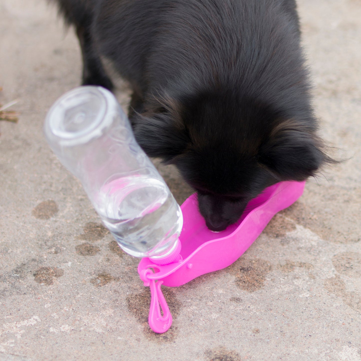 Dogman vattenflaska Millie 500ml
